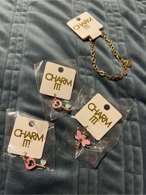 Charm It Gold-Tone Bracelet and Pink Enamel Charm Set Dragonfly, Key to My Heart
